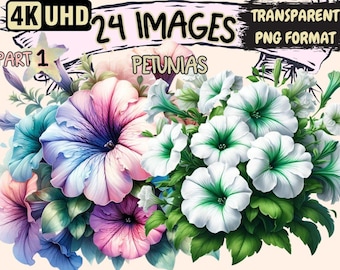 Petunias Clipart – 24 Colorful Flower PNG Graphics, Commercial Use (Digital Download)