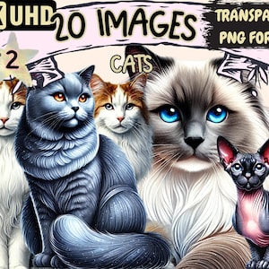 Cats (P2) Clipart - 20 PNG Cute Sleek Feline Illustrations, Elegant Kitty Art, Instant Digital Download, Unlimited Commercial Use for Crafts