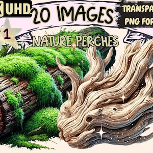 Nature Perches Clipart - 20 PNG Scenic Perch Illustrations, Wildlife Art, Instant Digital Download, Unlimited Commercial Use for Crafts