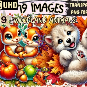 Woodland Animals (P9) Clipart - 19 PNG Forest Animal Graphics, Adorable Woods Printables, Instant Digital Download, Unlimited Commercial Use