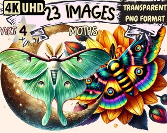Moths Clipart - 23 Delicate Celestial Moth Illustrations (Digital Download)