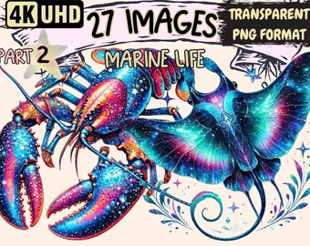 Marine Life Clipart – 27 Ocean Creature PNG Illustrations (Digital Download)