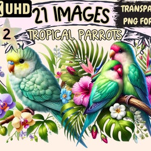Tropical Parrots (P2) Clipart - 21 PNG Exotic Bird Graphics, Jungle Wildlife Birds Illustrations, Instant Digital Download, Commercial Use