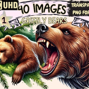 Grizzly Bears Clipart - 40 PNG Majestic Bear Illustrations, Wildlife Art, Instant Digital Download, Unlimited Commercial Use for Crafts