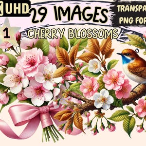 Cherry Blossoms Clipart - 29 PNG Sakura Flower Graphics, Spring Illustrations, Nature Printables, Instant Digital Download, Commercial Use
