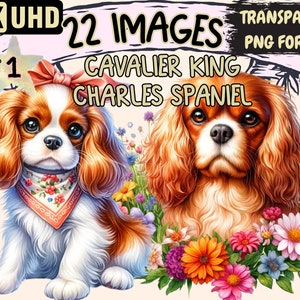 Cavalier King Charles Spaniel Clipart - 22 PNG Adorable Dog Graphics, Spaniel Printables, Instant Digital Download, Unlimited Commercial Use