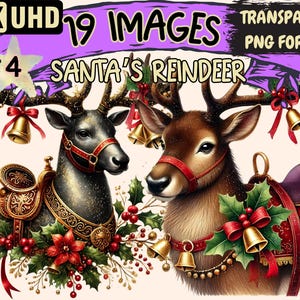 Santa's Reindeer (P4) Clipart - 19 PNG Festive Reindeer Illustrations, Christmas Art, Instant Digital Download, Unlimited Commercial Use