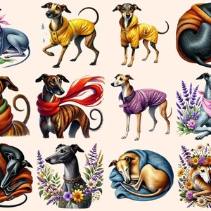 Greyhounds Clipart digital dog art - Wonders Artist