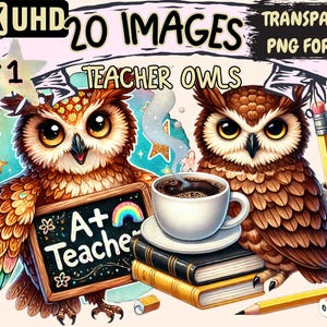 Teacher Owls Clipart - 20 PNG Cute Owl Graphics, School and Education Printables, Instant Digital Download, Unlimited Commercial Use Crafts