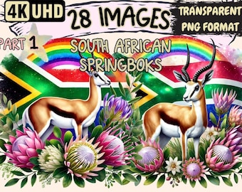 South African Springboks Clipart – 28 PNG Rugby Illustrations (Digital Download)