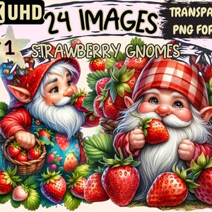 Strawberry Gnomes Clipart - 24 PNG Vibrant Strawberry Gnome Graphics, Colorful Printables, Instant Digital Download,Unlimited Commercial Use