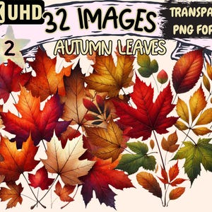 Autumn Leaves (P2) Clipart - 32 PNG Fall Foliage Illustrations, Seasonal Leaf Art, Instant Digital Download, Unlimited Commercial Use Crafts