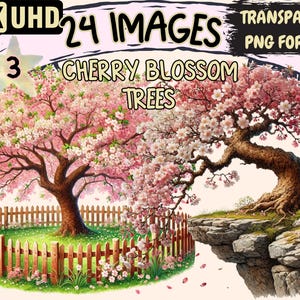 Cherry Blossom Trees (P3) Clipart - 24 PNG Sakura Graphics, Spring Illustrations, Nature Printables, Instant Digital Download,Commercial Use