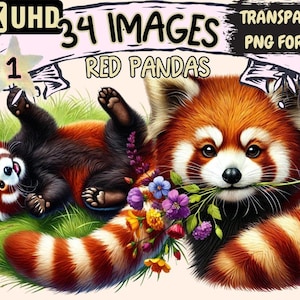 Red Pandas Clipart adorable panda art - Wonders Artist