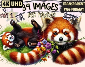 かわいいレッサーパンダのPNGクリップアート、子供向け昇華プリント