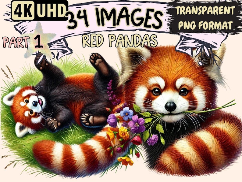 Red Pandas Clipart adorable panda art - Wonders Artist
