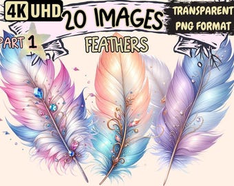 Elegant Feather Clipart – 20 PNG Graphics, Commercial Use (Digital Download)