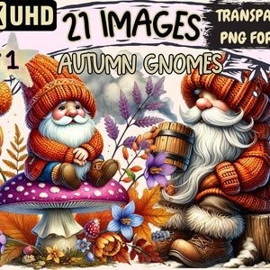 Autumn Gnomes Clipart - 21 PNG Fall Gnome Illustrations, Cozy Seasonal Art, Instant Digital Download, Unlimited Commercial Use for Crafts