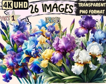 Irises Clipart – 26 Vibrant Floral PNG Graphics, Commercial Use (Digital Download)