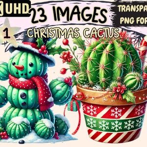Christmas Cactus (P1) Clipart - 23 PNG Festive Cactus Illustrations, Holiday Art, Instant Digital Download, Unlimited Commercial Use Crafts