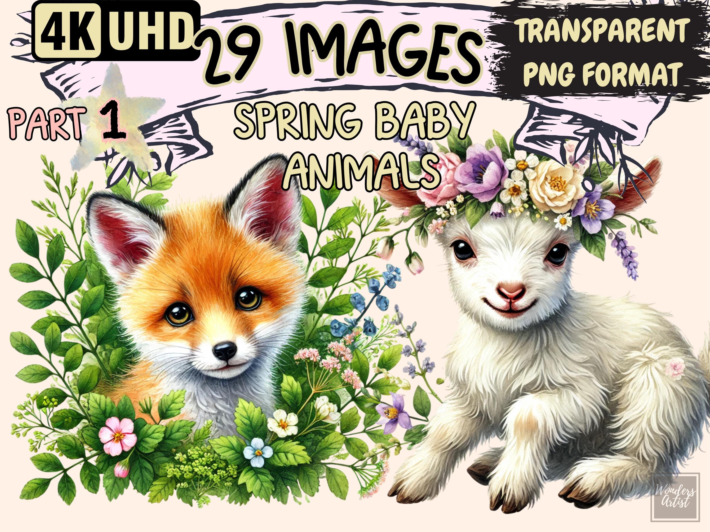 Spring Baby Animals (P1) Clipart - 29 PNG Cute Wildlife Graphics, Adorable Woodland Illustrations, Instant Digital Download, Commercial Use