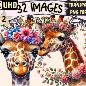 Giraffes (P2) Clipart - 32 PNG Tall Safari Animal Illustrations, Wildlife Art, Instant Digital Download, Unlimited Commercial Use for Crafts