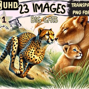 Big Cats Clipart - 23 PNG Wild Cat Graphics, Majestic Animal Printables, Instant Digital Download, Unlimited Commercial Use for Crafts