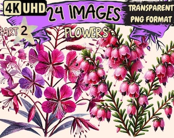 Floral Illustrations – Botanical Flowers Clipart, Commercial Use (Digital Download)