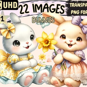Bunnies Clipart - 22 PNG Cute Spring Bunny Graphics, Adorable Fluffy Animal Printables, Instant Digital Download, Unlimited Commercial Use