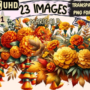 Marigold Clipart - 23 PNG Orange Flowers Graphics, Autumn Floral Bouquets Printables, Instant Digital Download, Unlimited Commercial Use