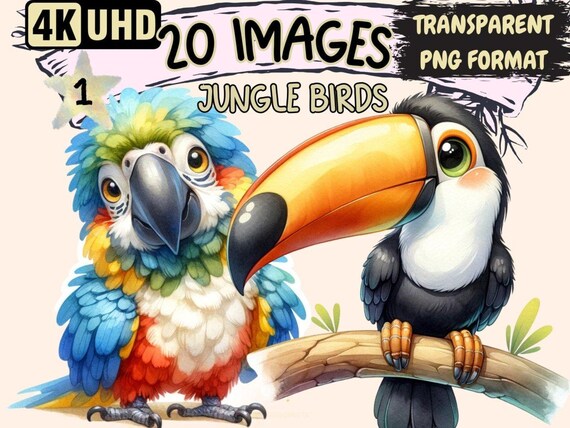 Jungle Birds Clipart Bundle – 20 Exotic PNG Graphics (Digital Download)