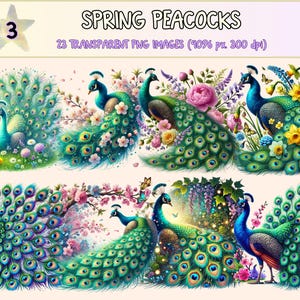 Spring Peacocks (P3) Clipart - 23 PNG Elegant Bird Graphics, Floral Feather Printable Illustrations, Instant Digital Download,Commercial Use