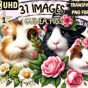 Guinea Pigs Clipart - 31 PNG Adorable Guinea Pig Graphics, Cute Printables, Instant Digital Download, Unlimited Commercial Use for Crafts