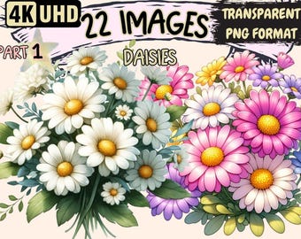 Daisies Clipart – 22 White Daisy Flower PNG Graphics (Digital Download)