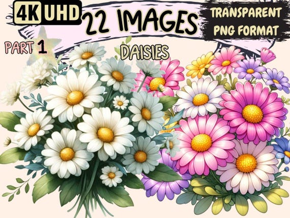 Daisies Clipart – 22 White Daisy Flower PNG Graphics (Digital Download)