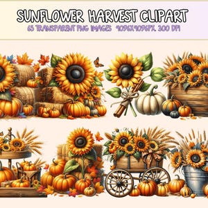 Sunflower Harvest Clipart