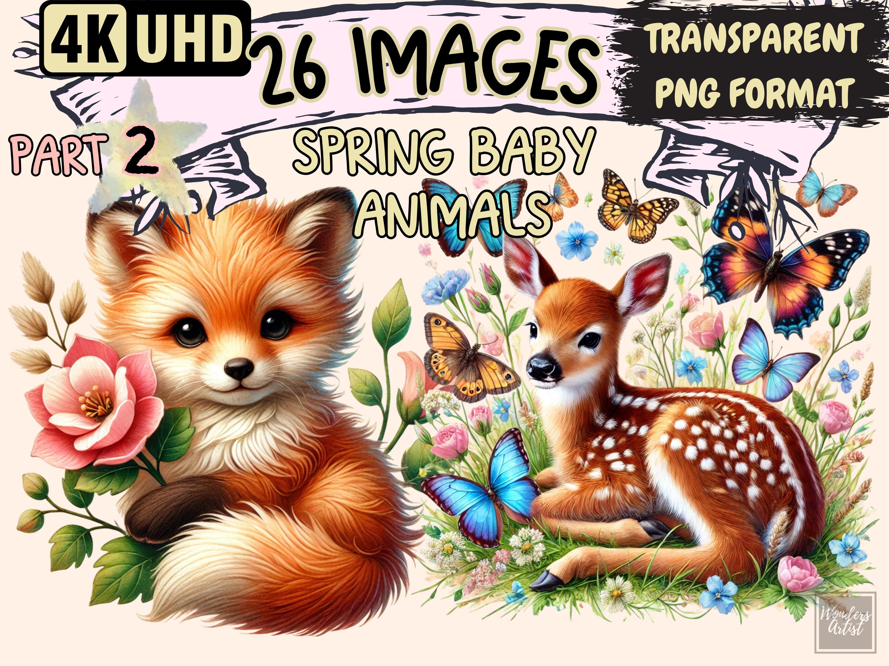 Spring Baby Animals (P2) Clipart - 26 PNG Cute Wildlife Graphics, Adorable Woodland Illustrations, Instant Digital Download, Commercial Use