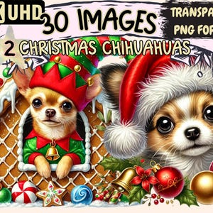 Christmas Chihuahuas (P2) Clipart - 30 PNG Festive Dog Illustrations, Holiday-Themed Art, Instant Digital Download, Unlimited Commercial Use