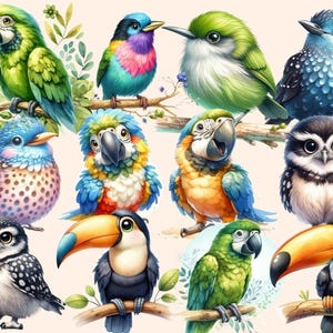 Jungle Birds Clipart birds clipart - Wonders Artist