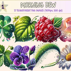 May include: A set of 21 digital illustrations of dew drops on various plants and flowers, including a four-leaf clover, a raspberry, a rose, a pansy, a blade of grass, and a daisy. The images are transparent PNG files, 4096 pixels wide and 300 dpi.
