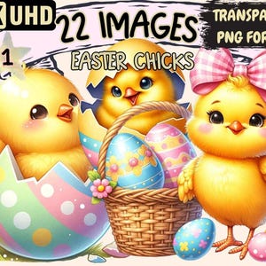 Easter Chicks Clipart – Spring Bird PNG Graphics (Digital Download)