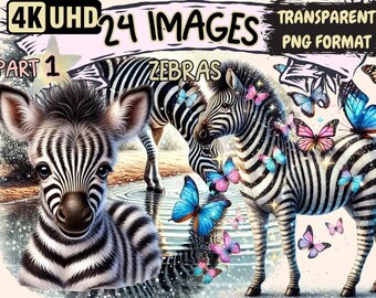 Zebra Clipart – Striped Animal PNG Illustrations, Safari Wildlife Art (Digital Download)
