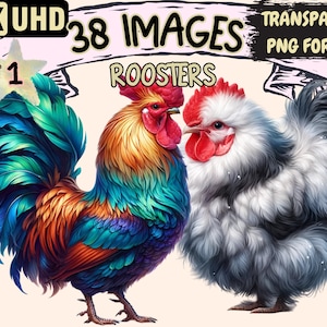 Roosters Clipart - 38 PNG Vibrant Rooster Graphics, Cute Farmhouse Printables, Instant Digital Download, Unlimited Commercial Use for Crafts