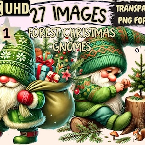 Forest Christmas Gnomes Clipart - 27 PNG X-Mas Woodland Gnome Illustrations, Holiday Art, Instant Digital Download, Unlimited Commercial Use
