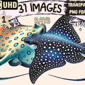 May include: Two spotted stingrays, one with a blue and yellow spotted pattern and the other with a black and white spotted pattern, swimming together. The image is part of a set of 31 images of rays in 4K UHD, transparent PNG format.