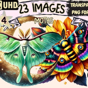 Moths (P4) Clipart - 23 PNG Delicate Moth Illustrations, Celestial Moth Art, Instant Digital Download, Unlimited Commercial Use for Crafts