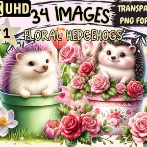 Floral Hedgehogs Clipart - 34 PNG Adorable Hedgehog Graphics, Floral Printables, Instant Digital Download, Unlimited Commercial Use Crafts
