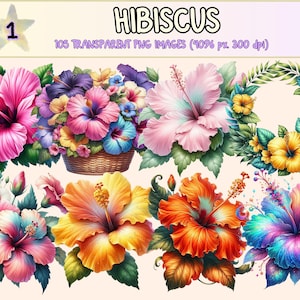 Hibiscus Clipart - 105 PNG Tropical Flower Graphics, Vibrant Floral Bouquets Printables, Instant Digital Download, Unlimited Commercial Use