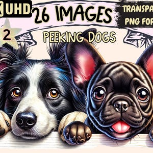 Peeking Dogs (P2) Clipart - 26 PNG Cute and Curious Dog Illustrations, Adorable Pet Art, Instant Digital Download, Unlimited Commercial Use
