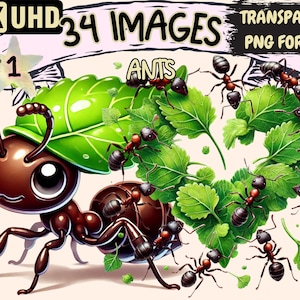 Ants Clipart - 34 PNG Insect Graphics, Cute Little Beautiful Ant Printables, Instant Digital Download, Unlimited Commercial Use for Crafts